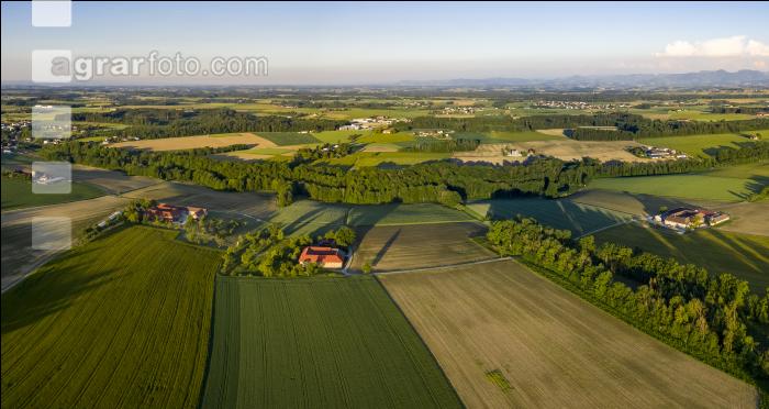 Alpenvorland Hochsommer 2