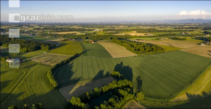 Alpenvorland Hochsommer 1