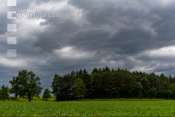 Gewitterwolken 19