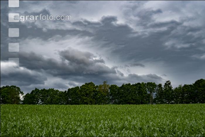 Gewitterwolken 17