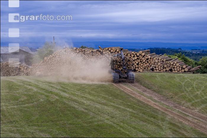 Forwarder Käferholz 42