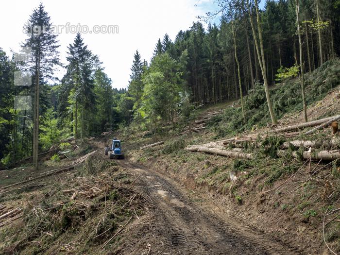 Forwarder Käferholz 34