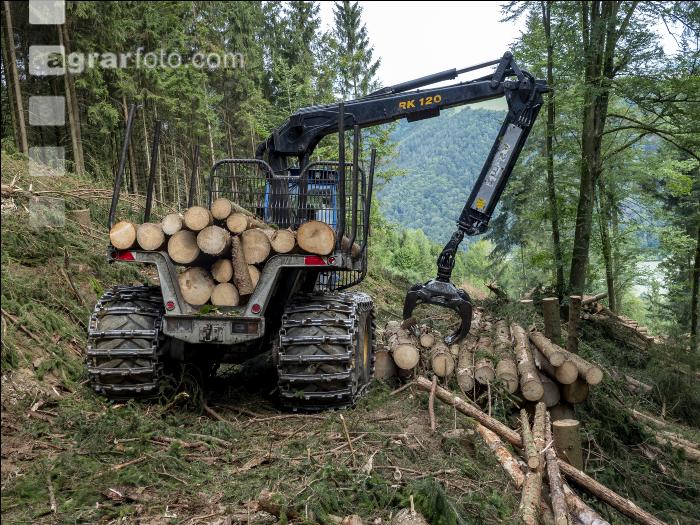 Forwarder Käferholz 32
