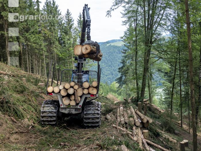Forwarder Käferholz 31