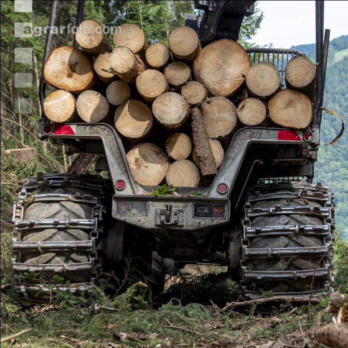 Forwarder Käferholz 30