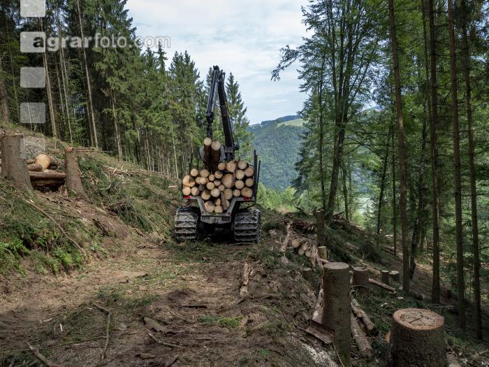 Forwarder Käferholz 29