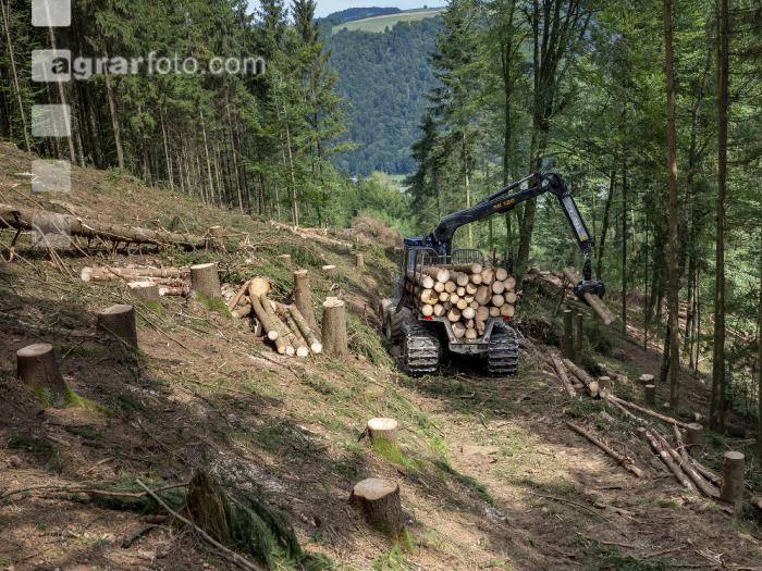 Forwarder Käferholz 28