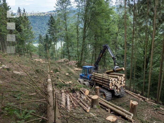 Forwarder Käferholz 26