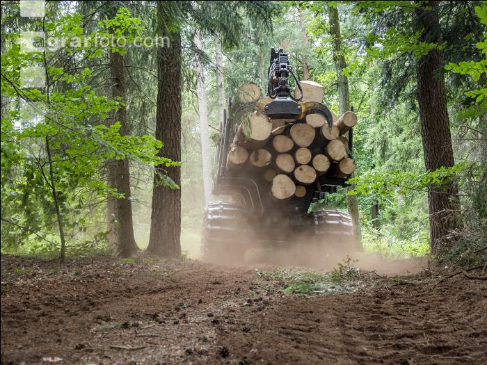 Forwarder Käferholz 20