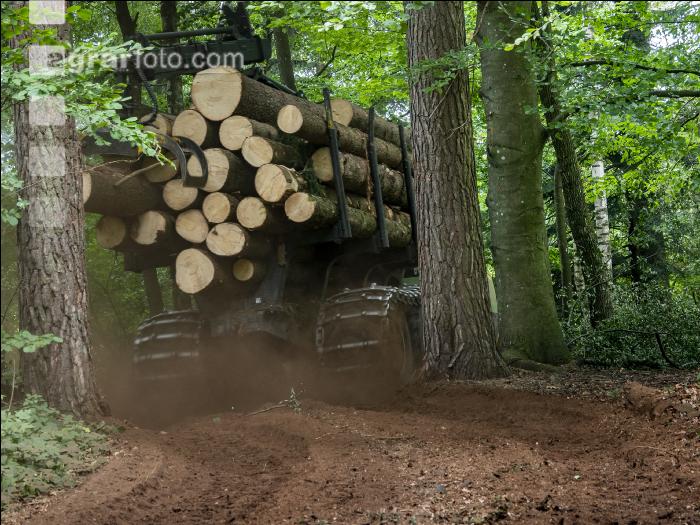 Forwarder Käferholz 19