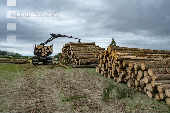 Forwarder Käferholz 16