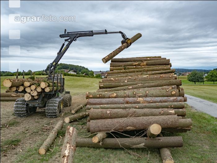 Forwarder Käferholz 13