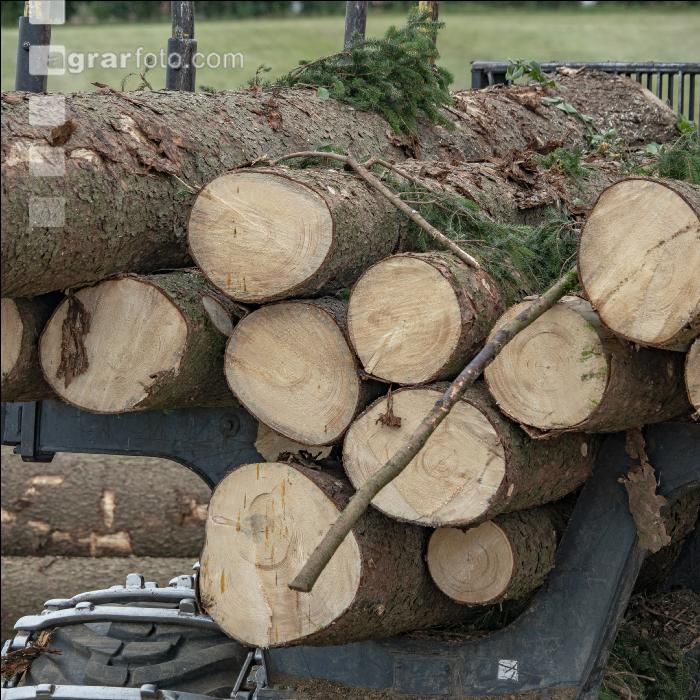 Forwarder Käferholz 11