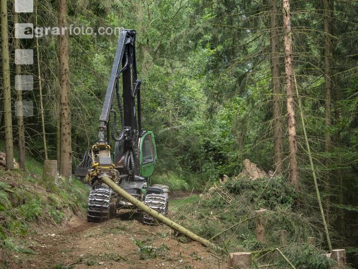 Harvester Käferholz 46