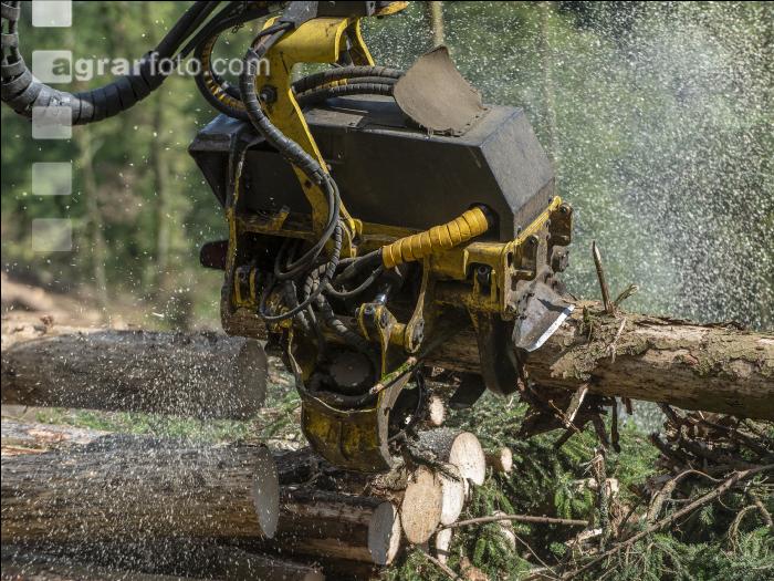 Harvester Käferholz 26