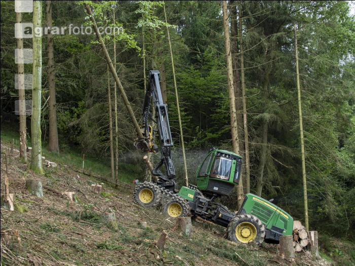 Harvester Käferholz 19