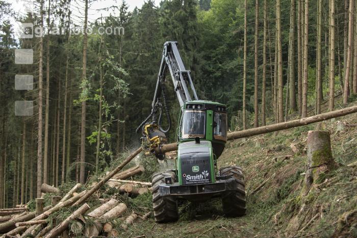 Harvester Käferholz 17