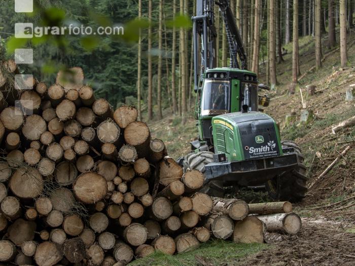 Harvester Käferholz 16