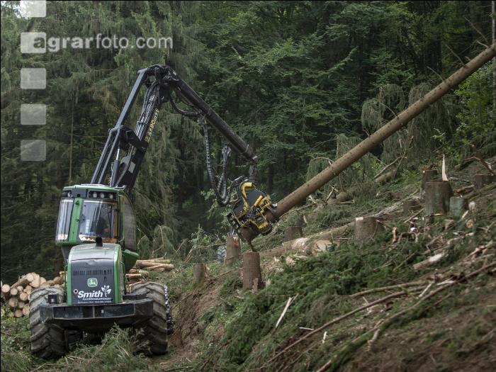 Harvester Käferholz 11