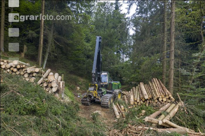 Harvester Käferholz 5