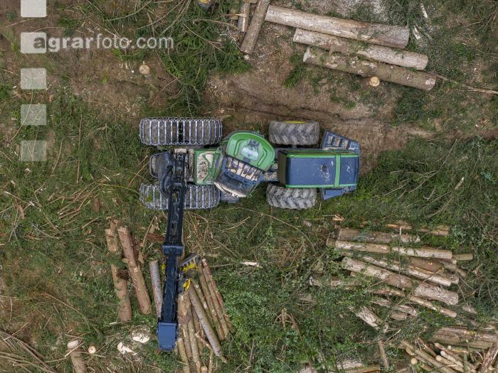 Harvester Käferholz 1