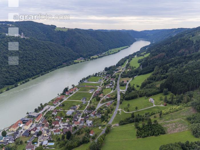 Käferholz im Donautal 2
