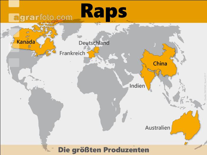 Raps weltweit 2