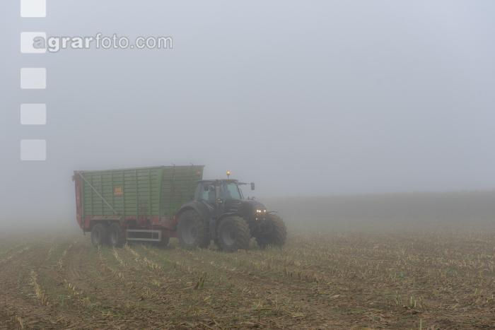Mais häckseln im Nebel 28