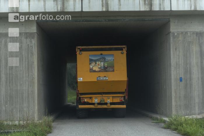 Mais häckseln im Nebel 9