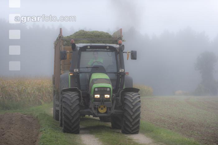 Mais häckseln im Nebel 6