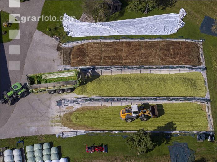 Silomais Silage 95