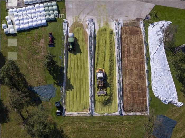 Silomais Silage 94