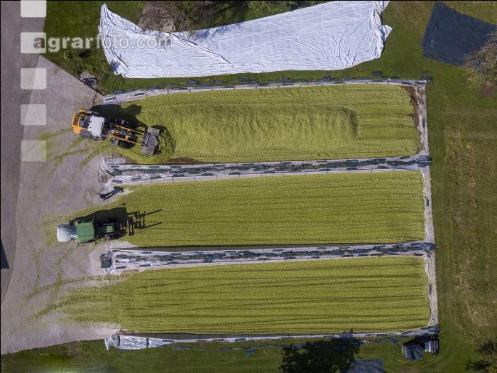 Silomais Silage 92