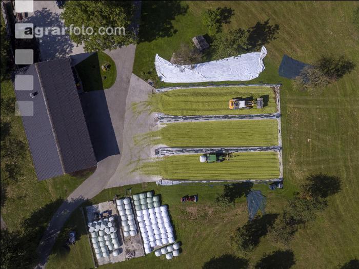 Silomais Silage 91