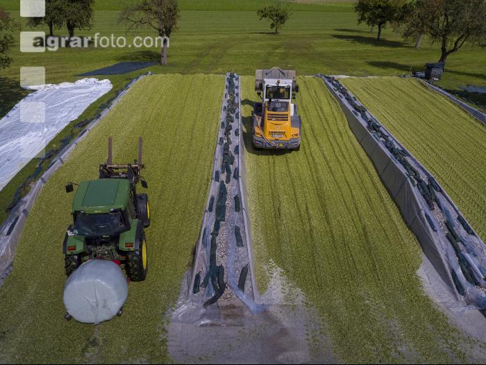 Silomais Silage 90