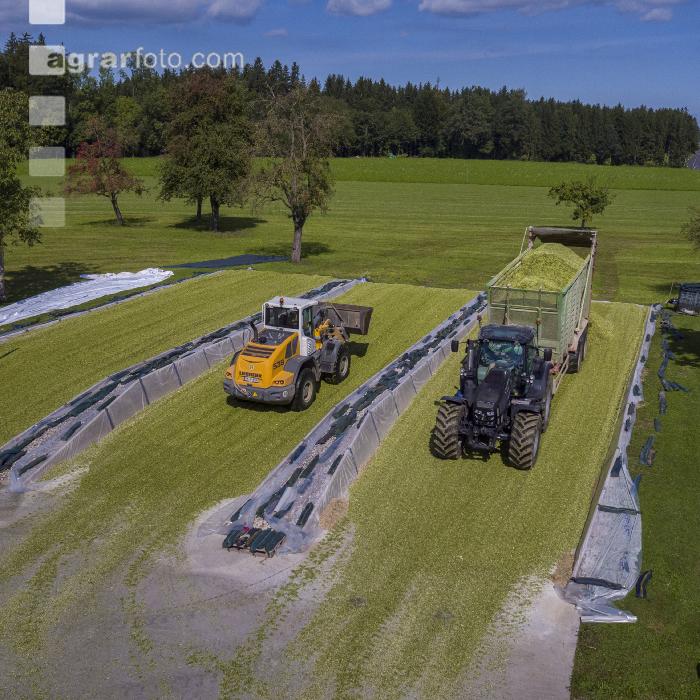 Silomais Silage 89