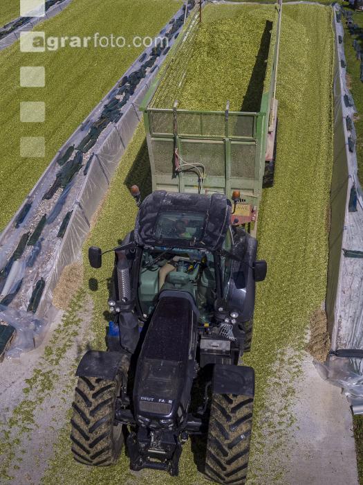 Silomais Silage 88