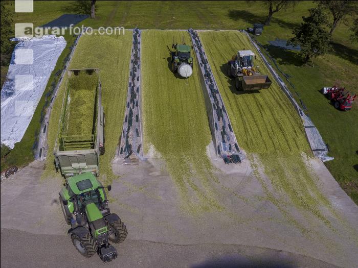 Silomais Silage 87