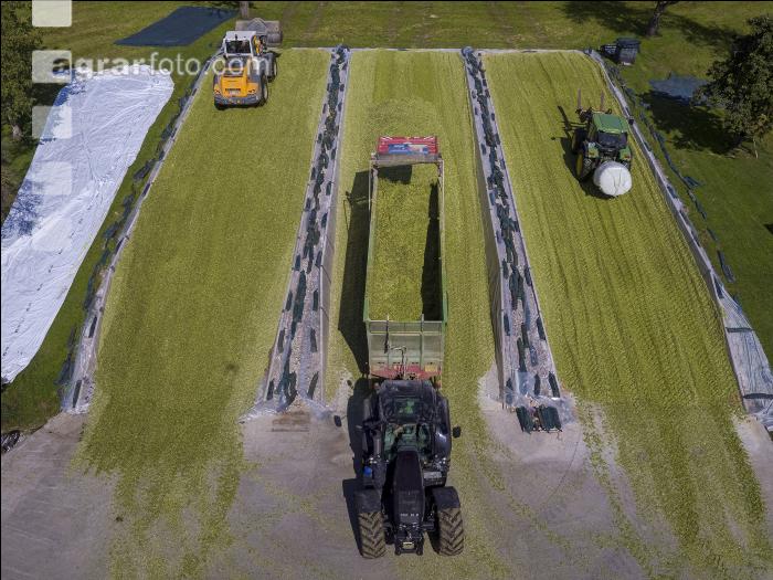Silomais Silage 86