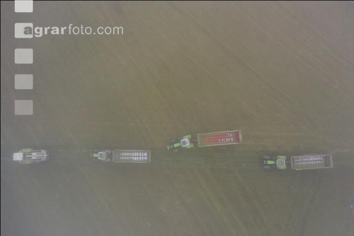 Gras häckseln im Nebel 1