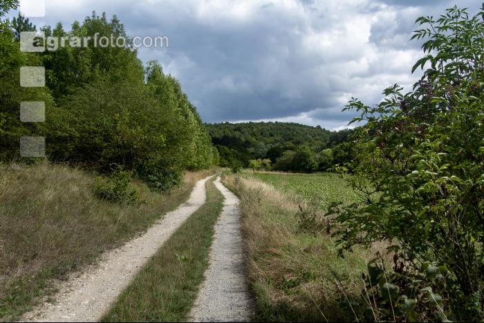 Feldweg 15