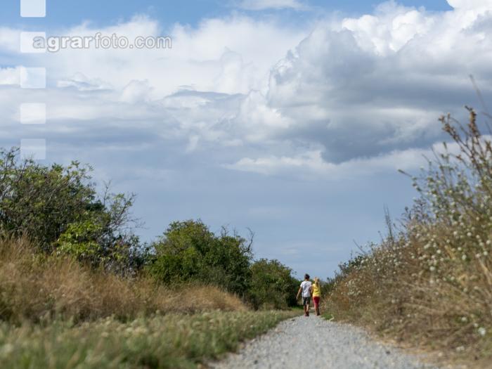 Kinder am Weg 3