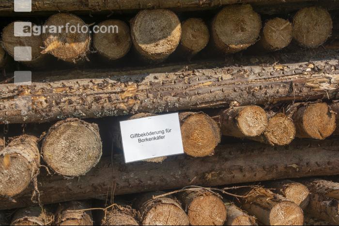 Giftköder Borkenkäfer 