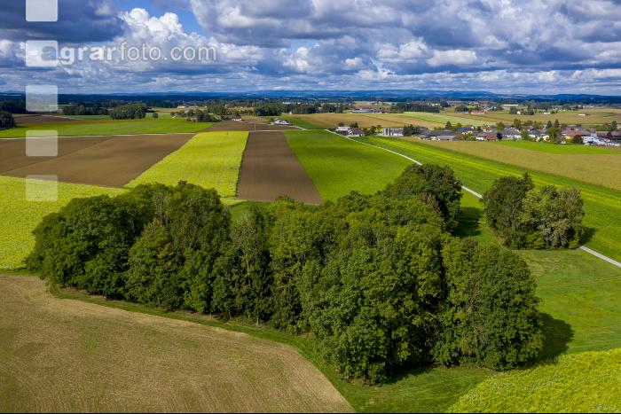 Kulturland im Frühherbst 1
