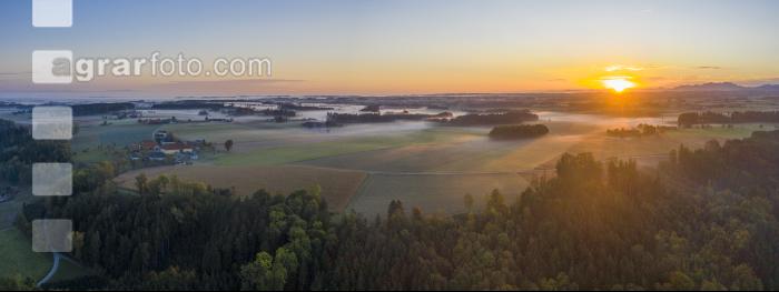 Almtal Morgenstimmung 21