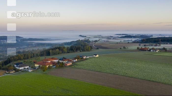 Almtal Morgenstimmung 19