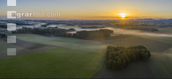 Almtal Morgenstimmung 18