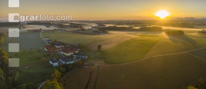 Almtal Morgenstimmung 17