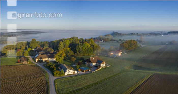 Almtal Morgenstimmung 12