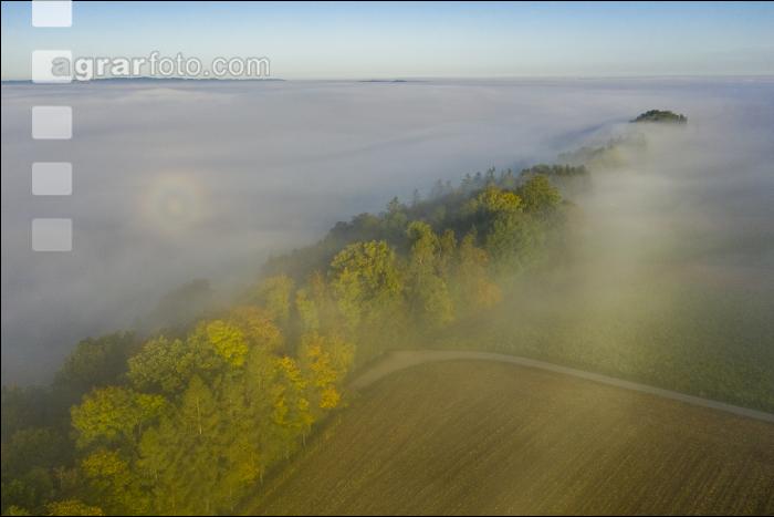 Almtal Morgenstimmung 10